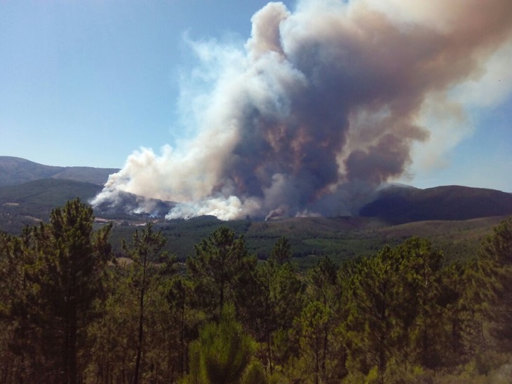 Las desgarradoras imágenes del incendio de Sierra de Gata