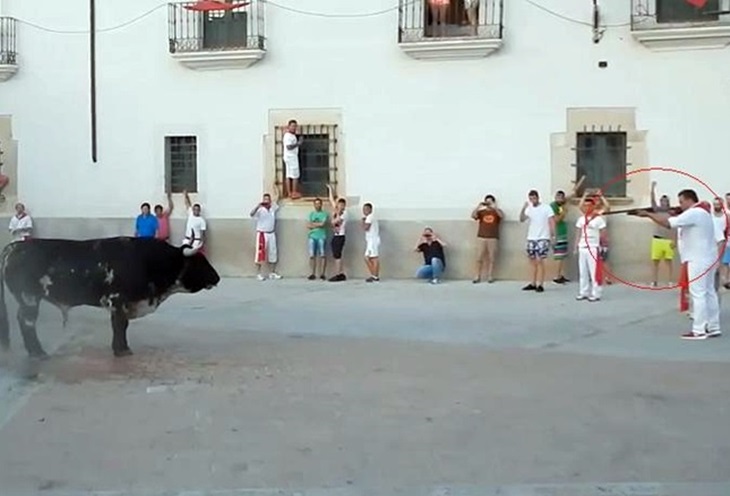 Delegación anuncia que &quot;ha tenido conocimiento&quot; de una denuncia por el toro de Coria