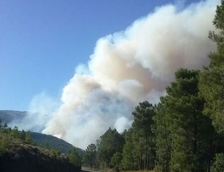 El viento dificulta las labores de extinción del incendio de Acebo
