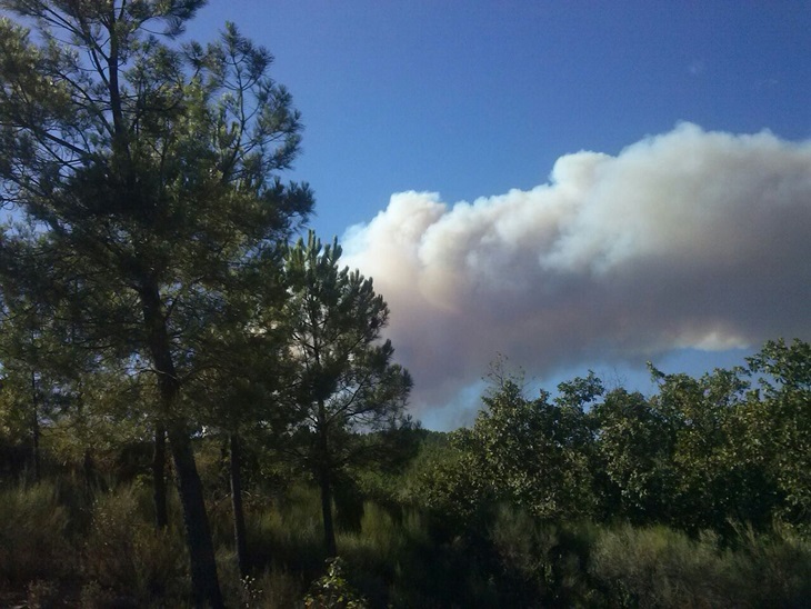 Las desgarradoras imágenes del incendio de Sierra de Gata