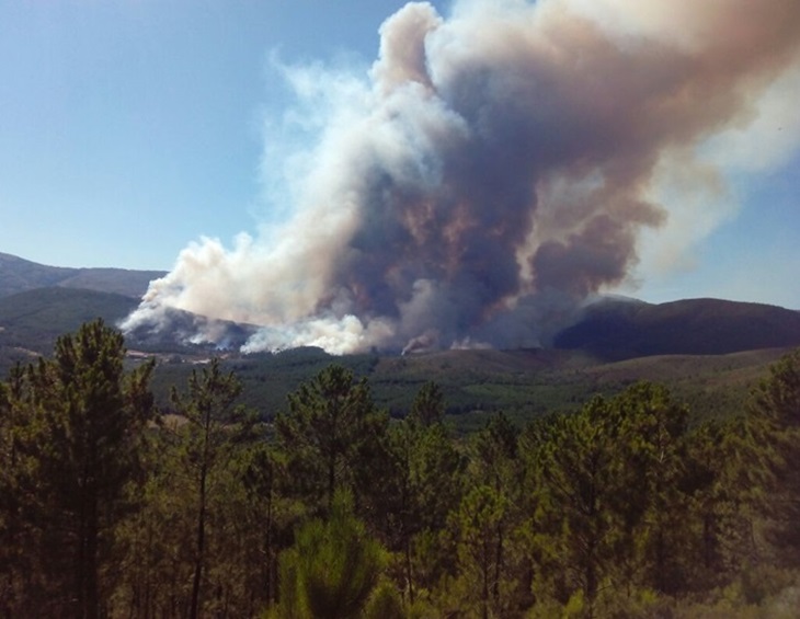 El 112 atiende a 12.068 llamadas desde que se originó el incendio