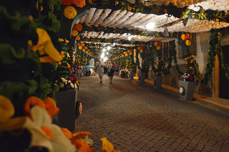 Vista nocturna de las &quot;Festas do Povo&quot; 2015