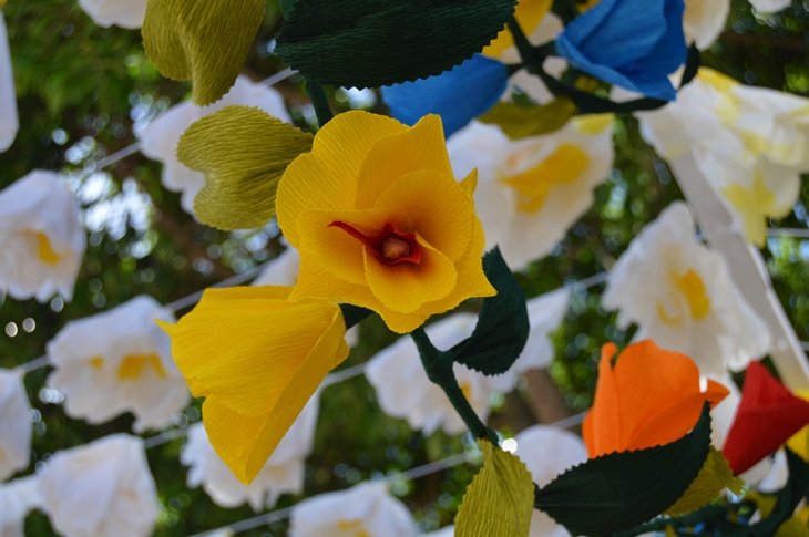 Detalles de las &#39;Festas do Povo&#39; de Campo Maior