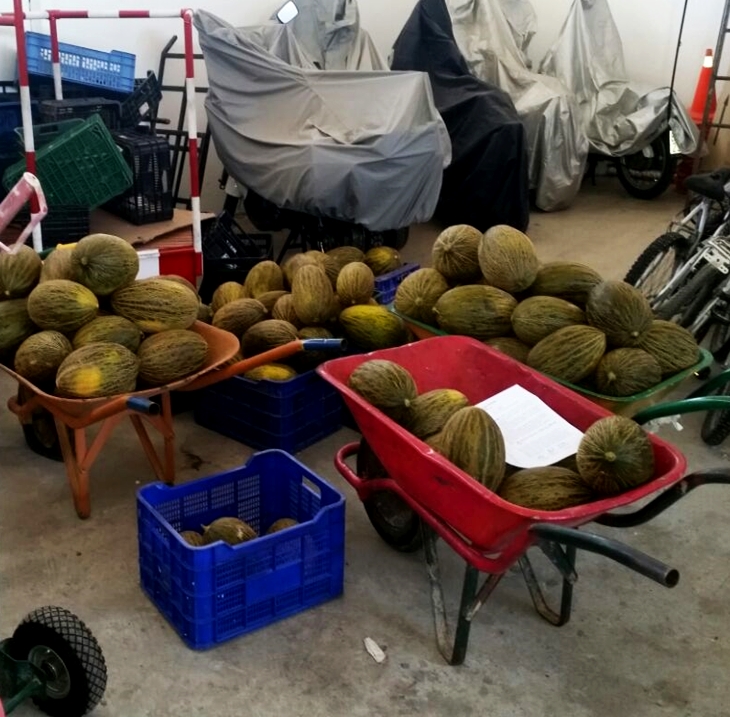Intervienen 1130 kilos de melones en el mercadillo semanal