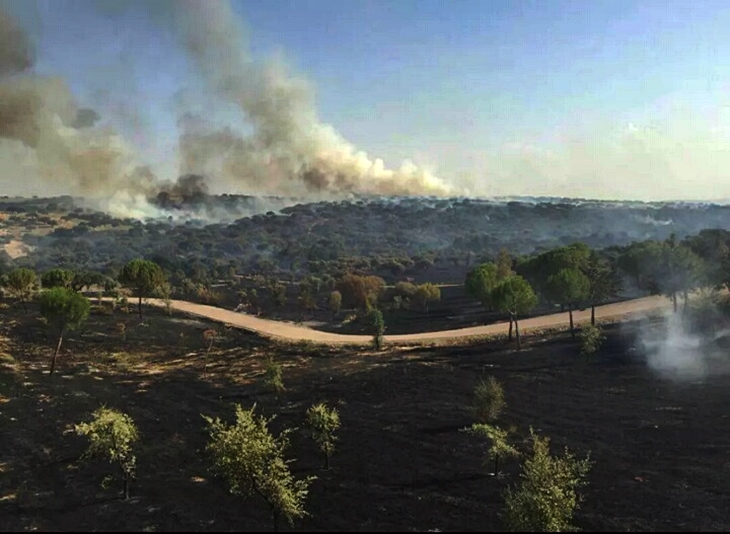 Varias hectáreas de monte arden en un incendio en Lograsán