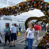 Campo Maior llena de color sus calles para celebrar las &quot;Festas do Povo&quot;