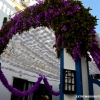 Campo Maior llena de color sus calles para celebrar las &quot;Festas do Povo&quot;