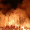 Las desgarradoras imágenes del incendio de Sierra de Gata