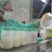 CICYTEX desarrolla un software para la gestión de los bancos de leche materna