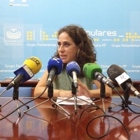 PP: &quot;Vara fracasa en materia de Empleo, en su primer mes de legislatura&quot;