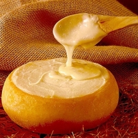 El Queso de la Serena, protagonista en Cáceres durante el mes de agosto