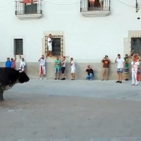 Delegación reconoce ahora la denuncia por el toro de Coria