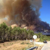 Medio Ambiente trabaja para esclarecer las causas del incendio