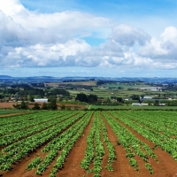 APAG Extremadura Asaja pide la derogación de la Red Natura 2000