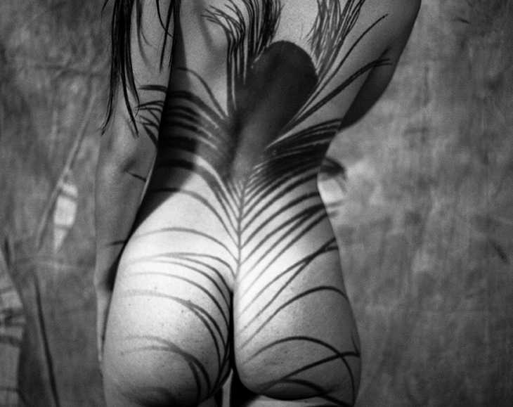 El fotógrafo Emilio Jiménez expone &#39;Anatomía Natural, Salvaje&#39; en Mérida