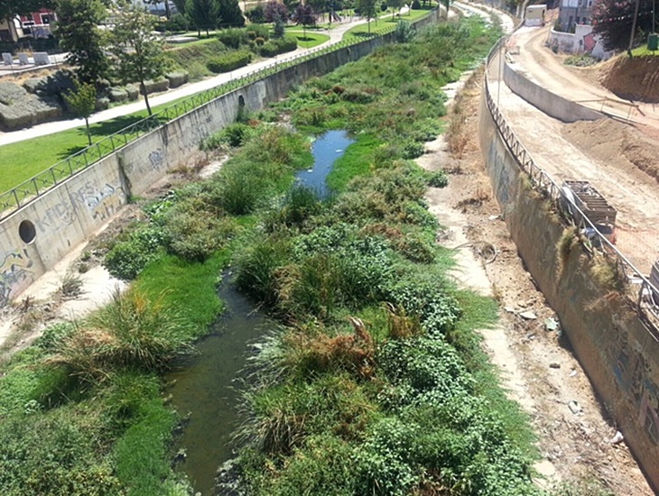 Denuncian el colapso de suciedad que sufre el cauce del arroyo Rivillas