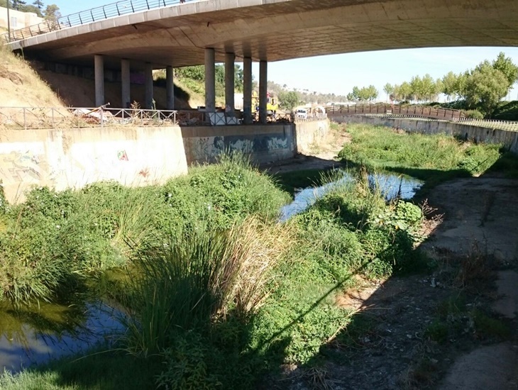Denuncian el colapso de suciedad que sufre el cauce del arroyo Rivillas