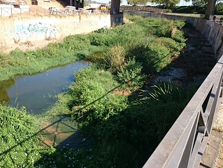 Denuncian el colapso de suciedad que sufre el cauce del arroyo Rivillas