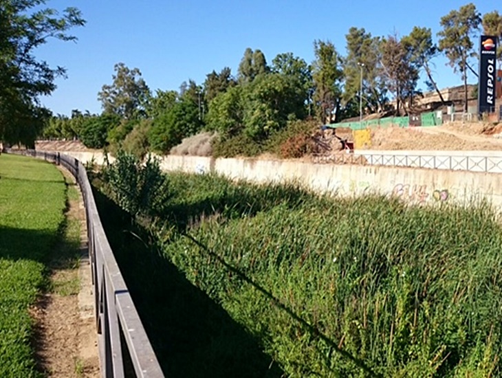 Denuncian el colapso de suciedad que sufre el cauce del arroyo Rivillas