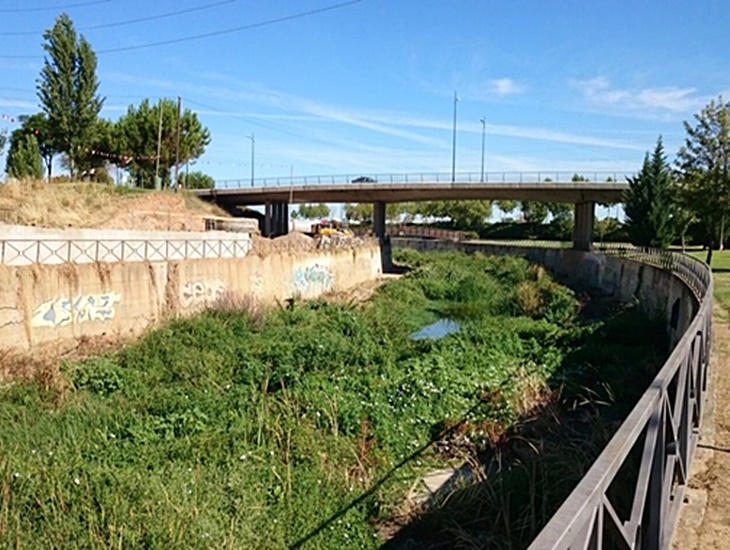 Denuncian el colapso de suciedad que sufre el cauce del arroyo Rivillas