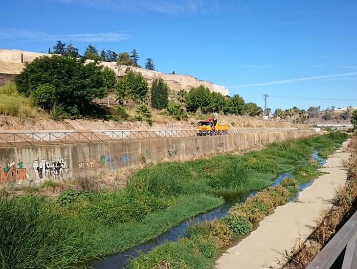 Denuncian el colapso de suciedad que sufre el cauce del arroyo Rivillas