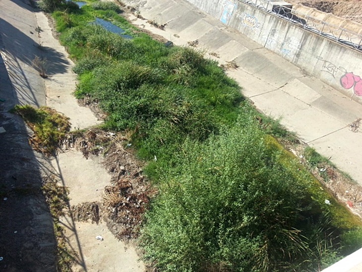 Denuncian el colapso de suciedad que sufre el cauce del arroyo Rivillas