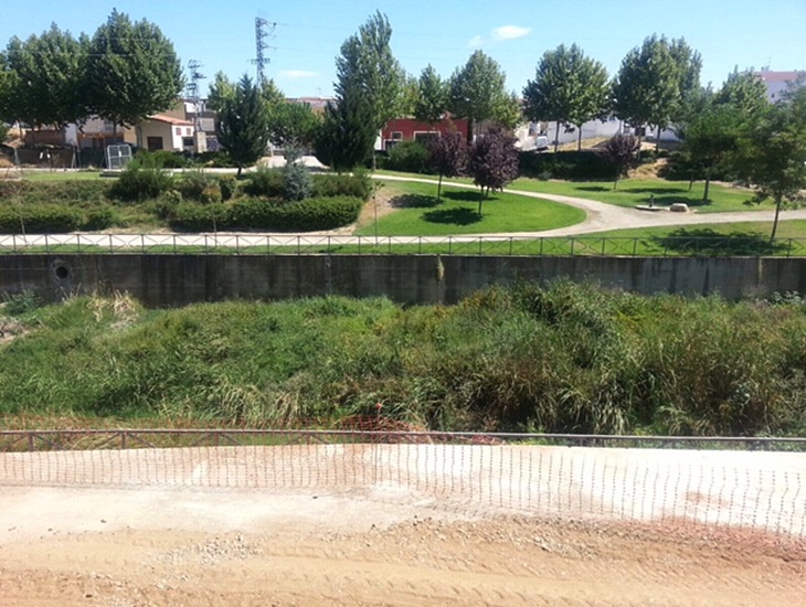 Denuncian el colapso de suciedad que sufre el cauce del arroyo Rivillas