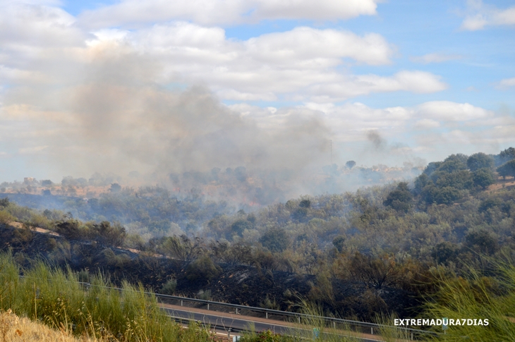 El viento intensifica un incendio cercano a Cerro Gordo (Badajoz)