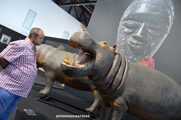 Espectacular exposición de animales salvajes en Feciex 2015