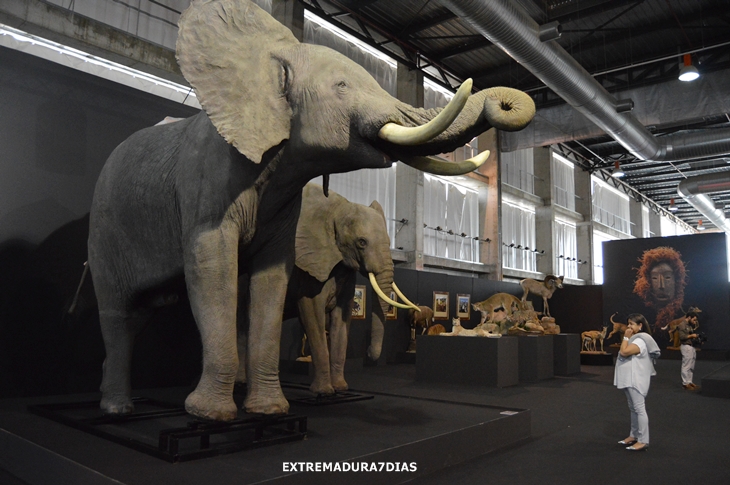 Espectacular exposición de animales salvajes en Feciex 2015