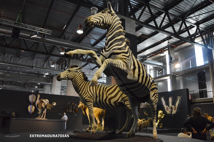 Espectacular exposición de animales salvajes en Feciex 2015