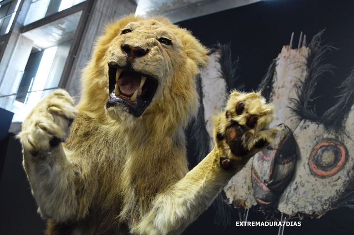 Espectacular exposición de animales salvajes en Feciex 2015