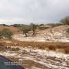 Una importante tormenta deja unos 45 litros/m2 de lluvia y granizo en Valencia del Mombuey (Badajoz)
