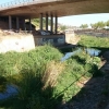 Denuncian el colapso de suciedad que sufre el cauce del arroyo Rivillas