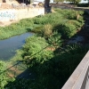 Denuncian el colapso de suciedad que sufre el cauce del arroyo Rivillas