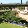 Denuncian el colapso de suciedad que sufre el cauce del arroyo Rivillas