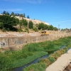 Denuncian el colapso de suciedad que sufre el cauce del arroyo Rivillas