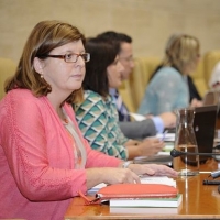 Una Mesa Permanente abarcará los problemas de la tuberculosis en la región