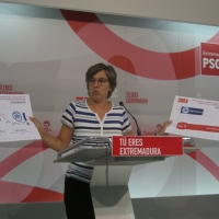El PSOE presentará a los PGE de 2016, enmiendas por valor de 426 millones de euros