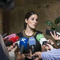 La Comisión de Expertos ya estudia los criterios para repartir la publicidad institucional
