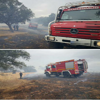 8 hectáreas quemadas en un incendio cerca de San Isidro (Badajoz)