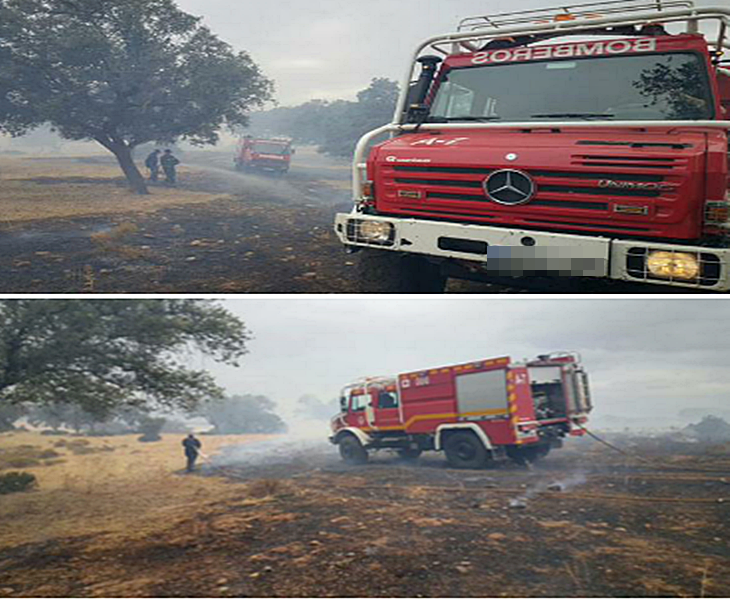 8 hectáreas quemadas en un incendio cerca de San Isidro (Badajoz)