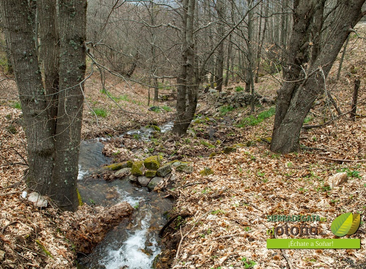 Un concurso de fotografía y vídeo impulsará el turismo en Sierra de Gata