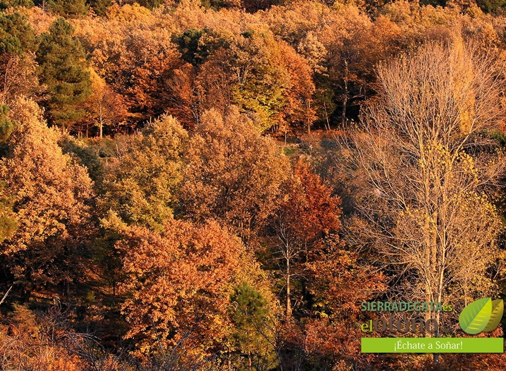 Un concurso de fotografía y vídeo impulsará el turismo en Sierra de Gata