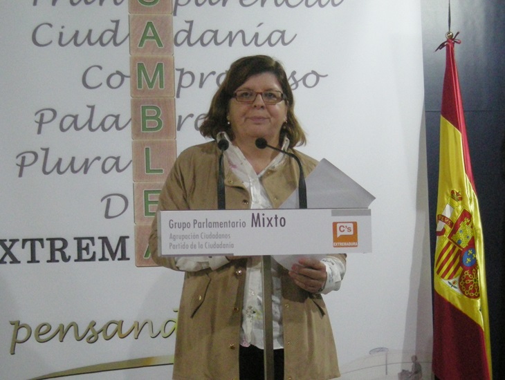 C’s impulsa un protocolo de actuación que fije las pautas de actuación en casos de acoso escolar