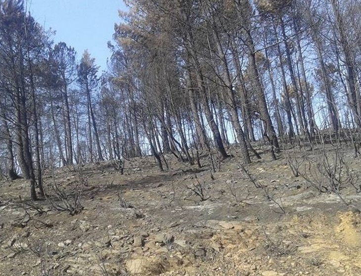 El PSOE exigirá a Rajoy 50 millones de euros para sufragar los daños del incendio