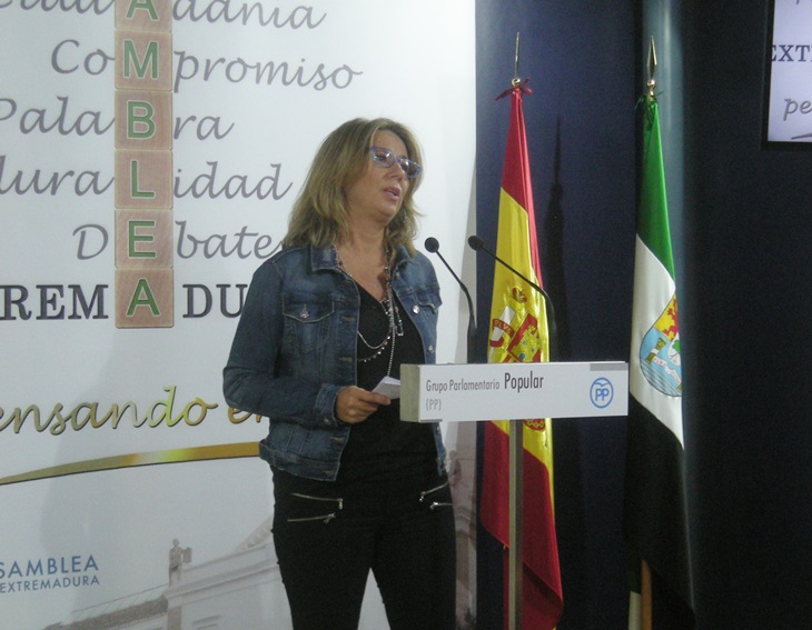 El PP considera que la situación de Acorex se debe por la falta de “medidas empresariales”