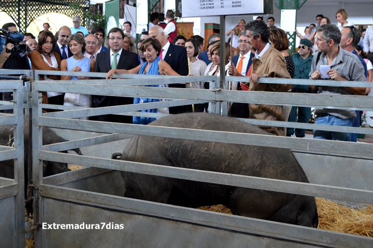 REPORTAJE FOTOGRÁFICO de la Inauguración de la Feria de Zafra