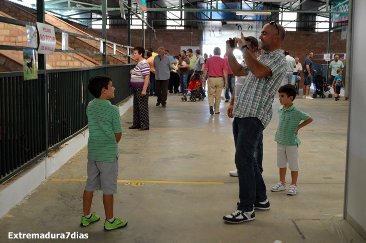 Ambiente en la Feria de Zafra