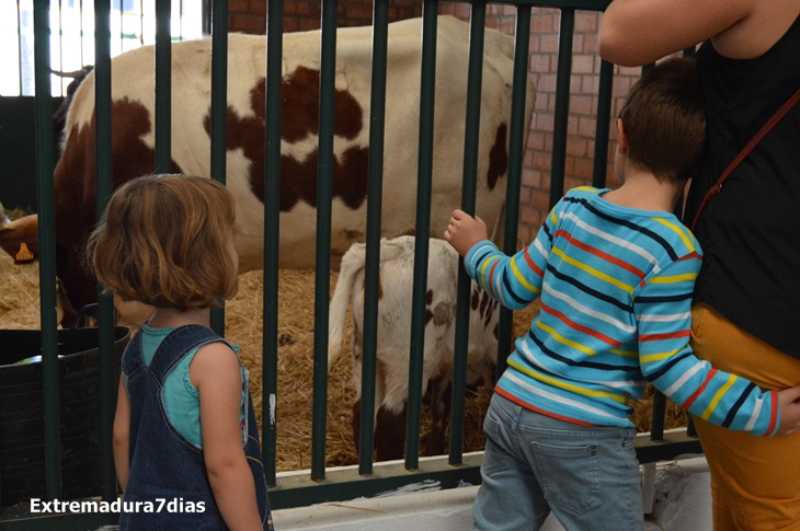 Ambiente en la Feria de Zafra